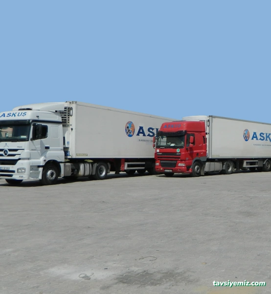 Askuş Lojistik