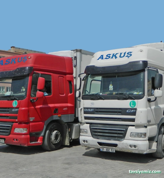 Askuş Lojistik