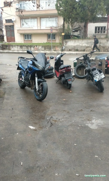 Aslan Motor..bozaci.ltd.şirketi