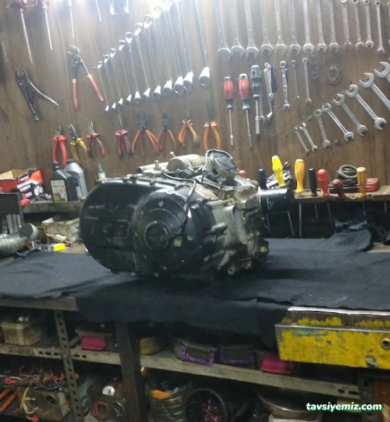 Aslan Motor..bozaci.ltd.şirketi