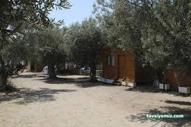Assos Çaça Camping Bungalov