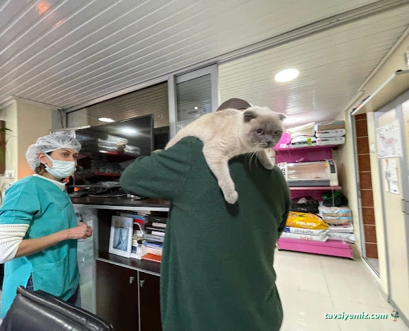 Atakent Veteriner Kliniği / Veteriner /Atakum Samsun