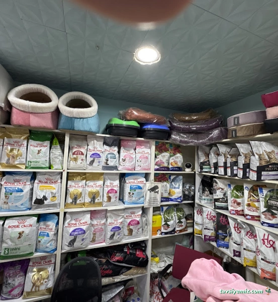 Ataköy Ezgi Petshop