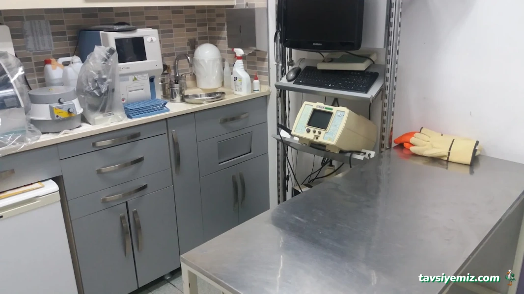 Ataköy Veteriner Polikliniği