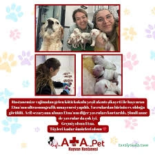 Atapet Hayvan Hastanesi