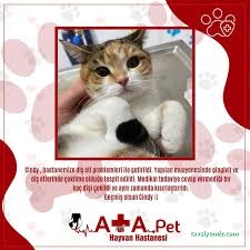 Atapet Hayvan Hastanesi