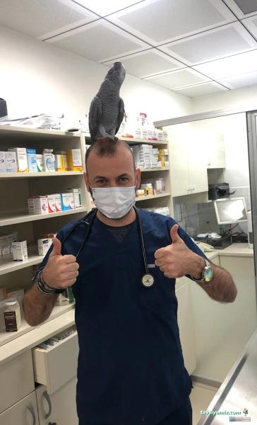 Ataşehir Veteriner Kliniği - Ataşehir 7/24 Veteriner - Acil Veteriner