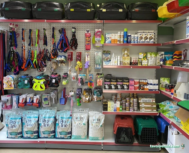 Athena Veteriner Kliniği