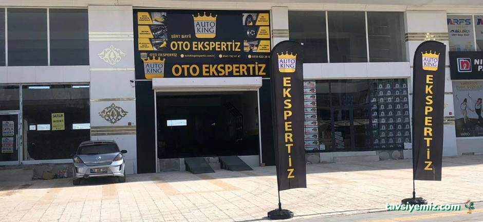 Auto King - Siirt Oto Ekspertiz