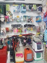 Avcı Pet Shop Akvaryum