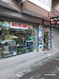 Avcı Pet Shop Akvaryum