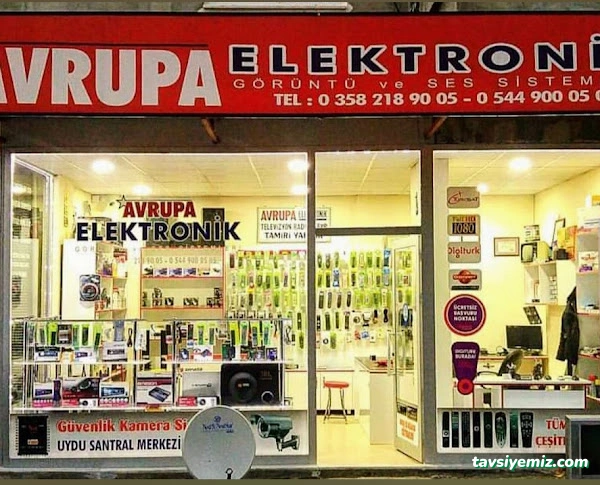 Avrupa Elektronik