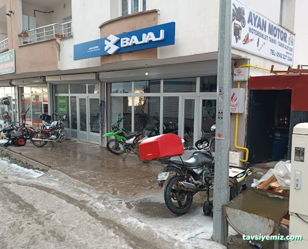 Ayan Motor (Senan Usta)