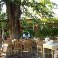 Ayazma Çay Bahçesi