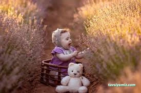 Ayçiçek Fotoğraf Atolyesi