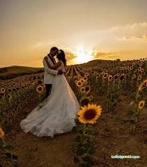 Ayçiçek Fotoğraf Atolyesi