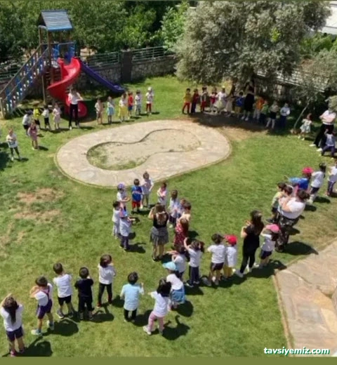 Aydın Güzel Sanatlar Anaokulu