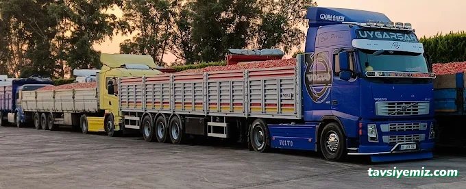 Aydin Uygarşah Nakliyat&Komisyon