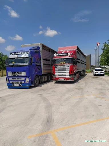 Aydin Uygarşah Nakliyat&Komisyon