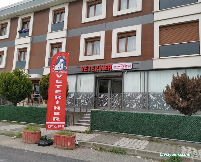Aydınevler Veteriner Kliniği | Özel Veteriner - Maltepe/Küçükyalı/Aydınevler Veteriner