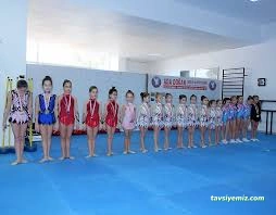 Aydn Cimnastik Taekwondo Spor Kulübü