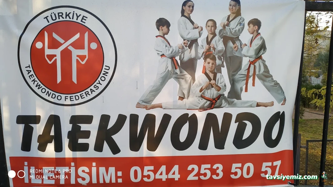 Aykaan Taekwondo