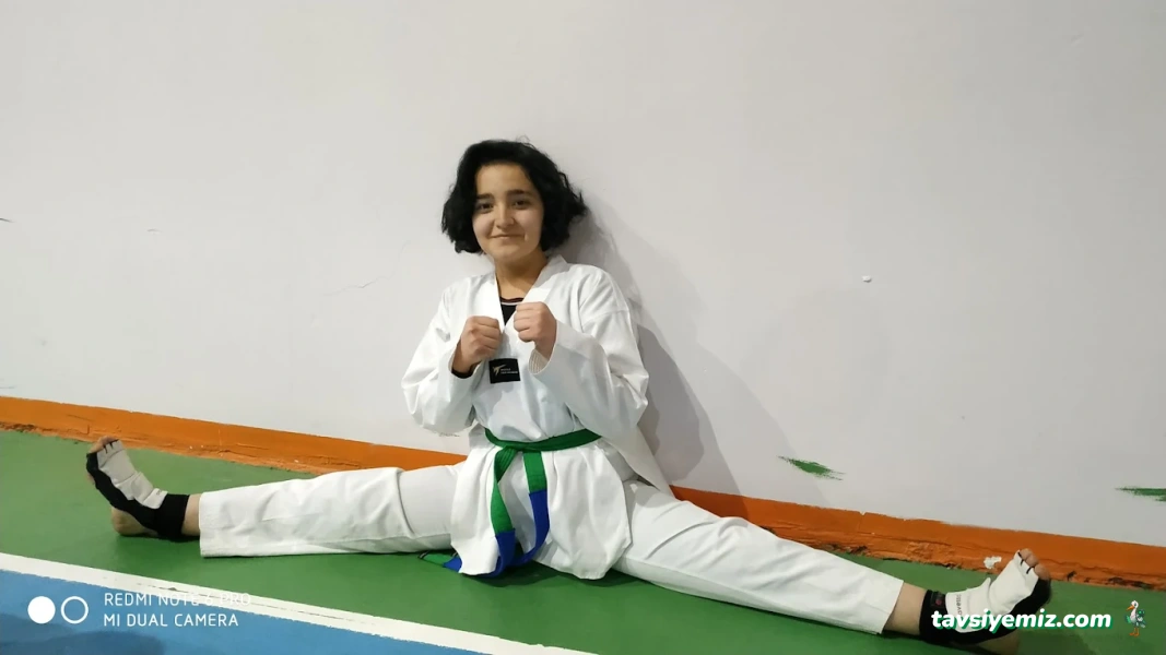 Aykaan Taekwondo