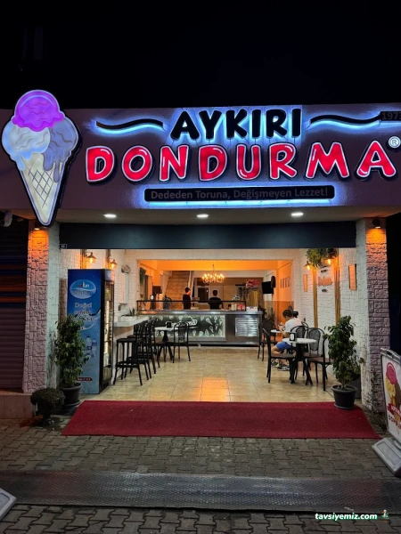 Aykırı Dondurma 1973