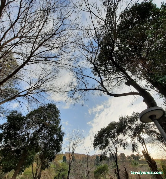 Ayn Zeliha Gölü Aile Çay Bahçesi