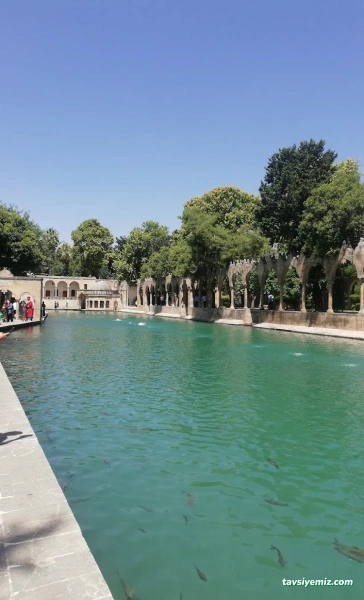 Ayn Zeliha Gölü Aile Çay Bahçesi