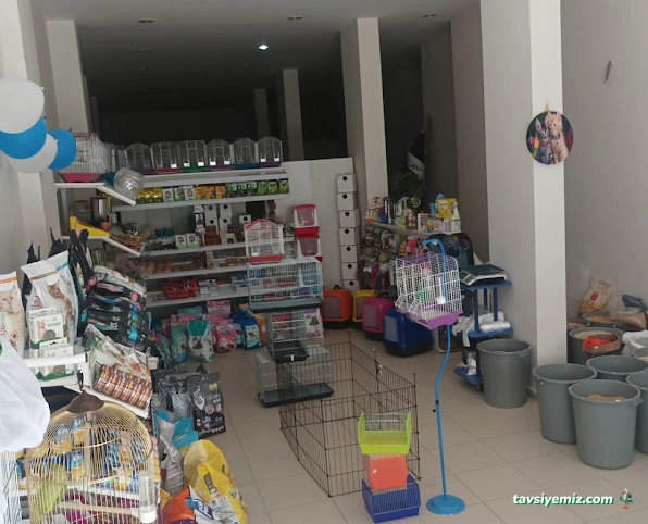 Aypati Petshop