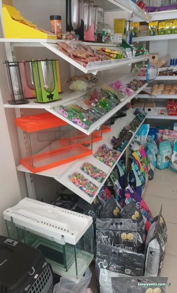 Aypati Petshop