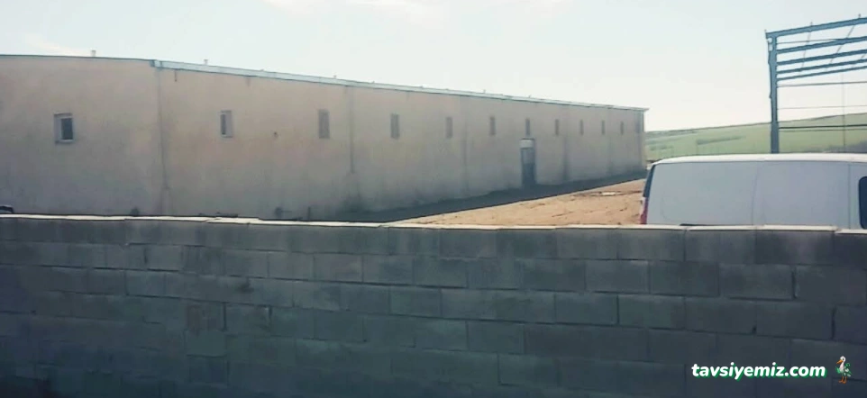 Aypin Hayvan Çiftligi