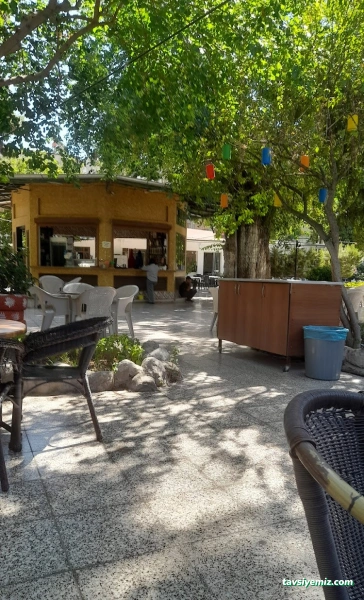 Ayşecik Çay Bahçesi