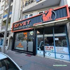 Ayvet Veteriner Kliniği