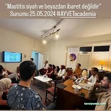 Ayvet Veteriner Kliniği