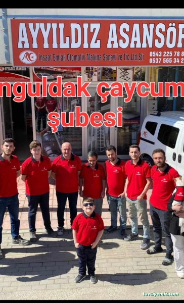 Ayyıldız Asansör Ankara - Sincan Etimesgut Asansör Arıza Bakım Revizyon Montaj Firması