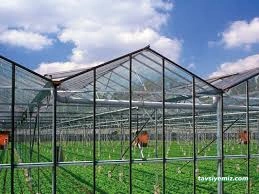 Ayyıldız Seracılık