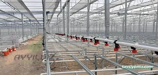 Ayyıldız Seracılık