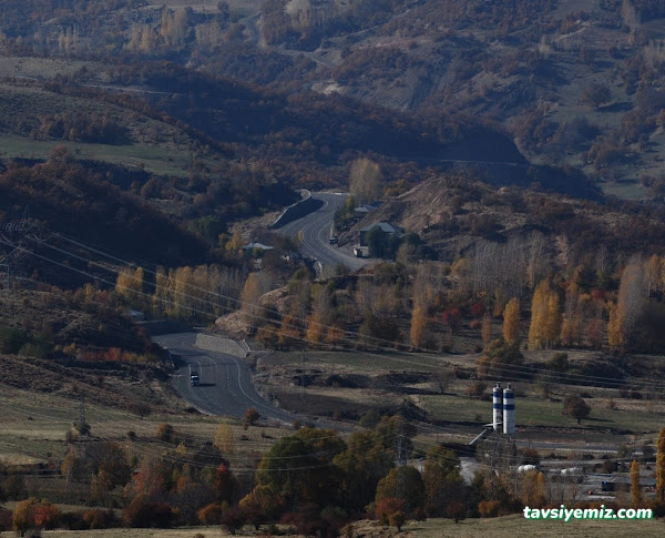Aziz Koç Doğan Dinlenme Tesisi Şube -1