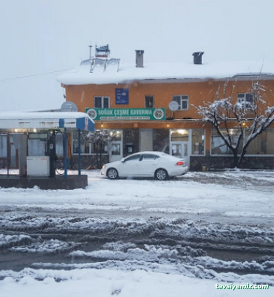 Aziz Koç Doğan Dinlenme Tesisi Şube -1