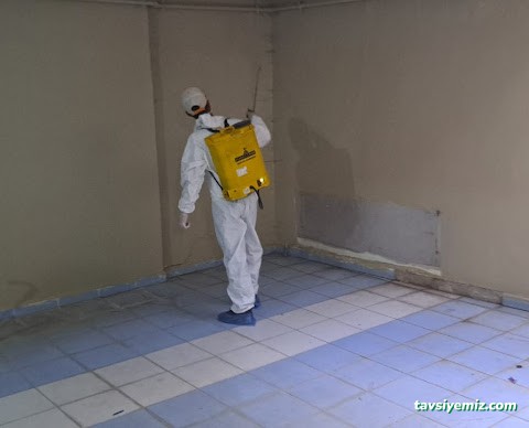 Büyükşehir İlaçlama