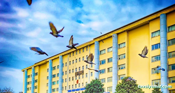 Bursa Vergi Dairesi Başkanlığı