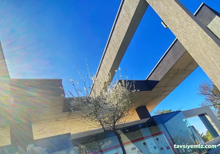 Orta Doğu Teknik Üniversitesi