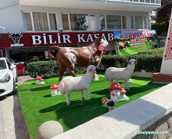 Bilir Kasabı