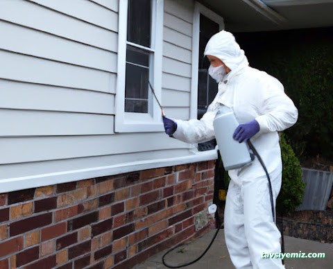 Büyükşehir İlaçlama