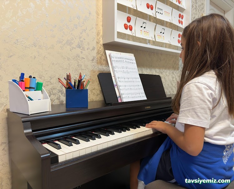 T.c. Meb Özel Trio Müzik Kursu