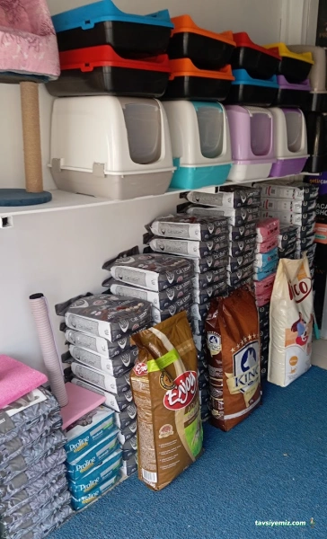 Babacan Pet Shop Eryaman