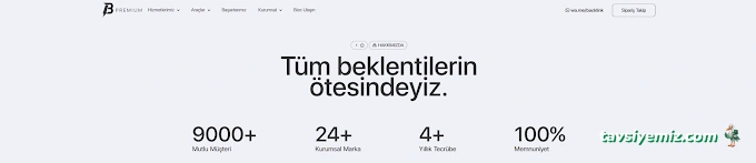 Backlink Danışmanı