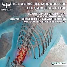 Backup Uygulama Merkezı,Amasyaşam Sağlıklı Yaşam Ve Danışmanlık Merkezi